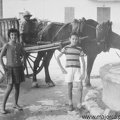 horse-drawn wagon